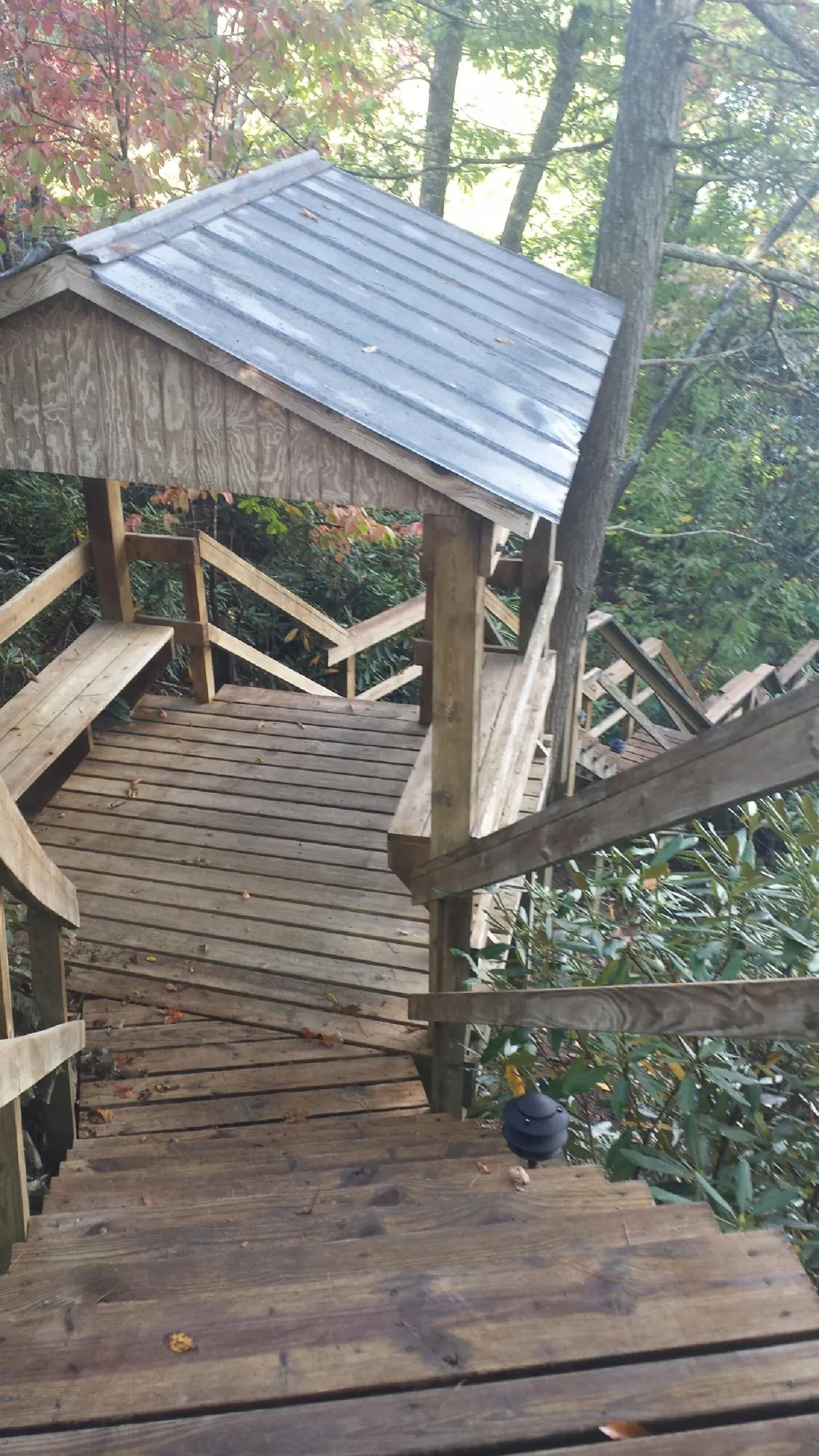 Metal roofed shelter over wooden steps on a wooded walkway — Skylight Repair & Installation work by our crew in Loma Mar